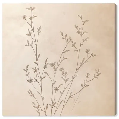 Art Remedy Nature Sketchbook Canvas Vintage Botanic Art By  In Wrapped Canvas