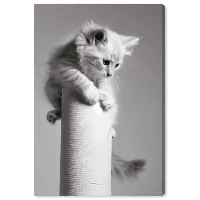 Art Remedy Paper Towel Climbing Cat Canvas Funny Bathroom Art By  In Wrapped Canvas