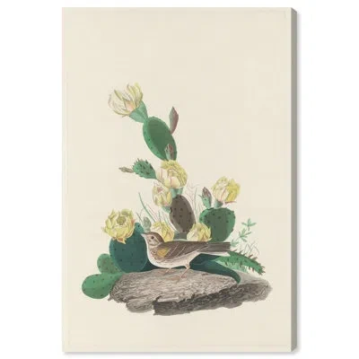 Art Remedy Prickly Pear Perch Canvas Print Botanical Art By  In Gallery Wrapped