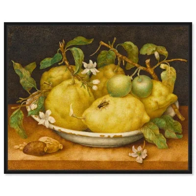 Art Remedy Still Life With Bowl Of Citrons Canvas Kitchen Art By  In Black Framed