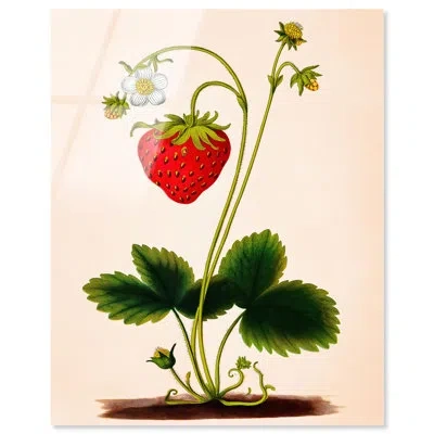 Art Remedy Strawberry Kitchen Art Acrylic Print By  In Red