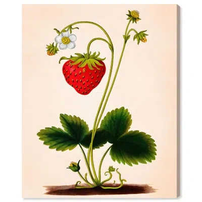 Art Remedy Strawberry Kitchen Art Canvas Print By  In Gallery Wrapped