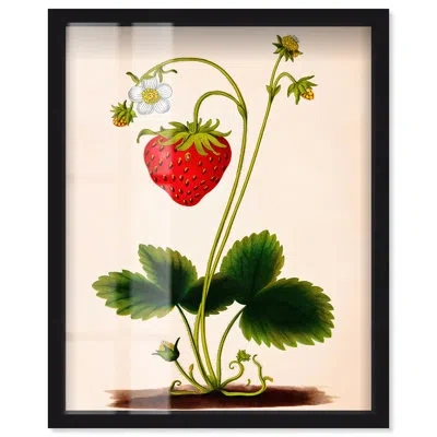 Art Remedy Strawberry Kitchen Art Shadowbox Print By  In Black