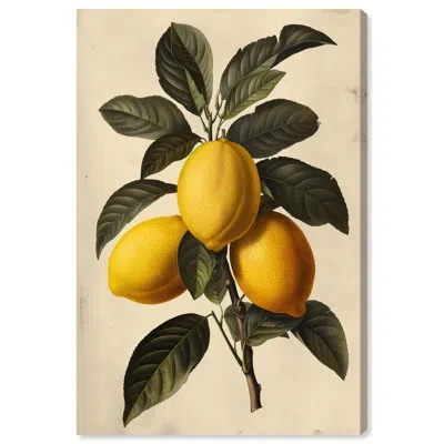 Art Remedy Tart Branch Canvas Lemon Wall Art By  In Wrapped Canvas