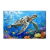 Art Remedy "turtle Swimming" Giclee Animals Canvas Art In Blue