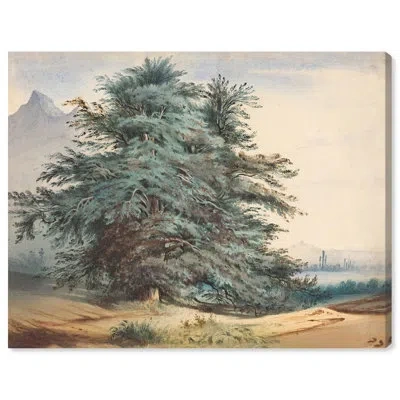 Art Remedy Two Ancient Trees Canvas Vintage Nature Print By  In Wrapped Canvas