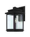 Artcraft Lighting Freemont Outdoor Wall Light In Black,clear