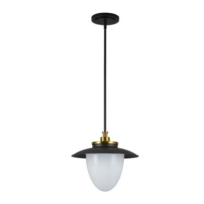 Artcraft Lighting Lucai - Pendant In Black