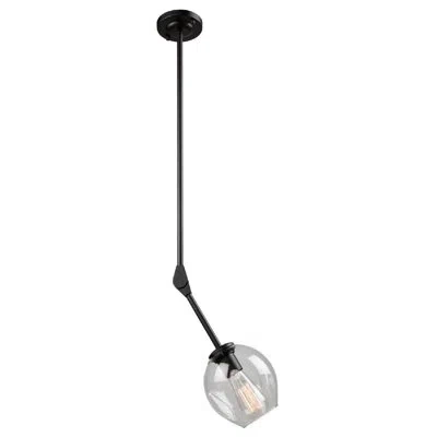 Artcraft Lighting Organic 1-light Single Globe Pendant In Black