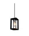 Artcraft Lighting Vineyard Pendant In Black,chrome