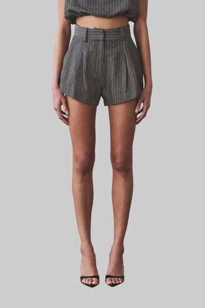 Artemis Diciero Andriana Short In Gray