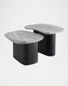 Arteriors Melt Nesting Coffee Tables, Set Of 2 In Black, Gray