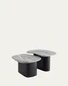 Arteriors Melt Nesting Coffee Tables, Set Of 2 In Black, Gray