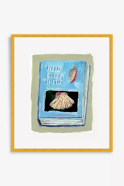 Artfully Walls A Field Guide To Shells Book Wall Art In Multi