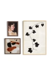Artfully Walls Abstract Botanicals 3 Gallery Wall Art
