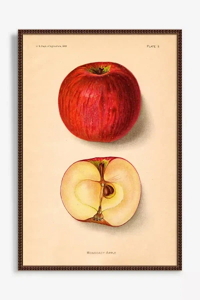 Artfully Walls Apples Wall Art