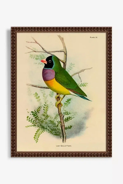 Artfully Walls Bird Wall Art In Brown