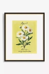 Artfully Walls Birth Flower Wall Art