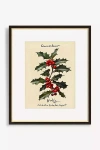 Artfully Walls Birth Flower Wall Art