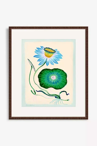 Artfully Walls Blue Lotus With Blue Border Wall Art In Multi