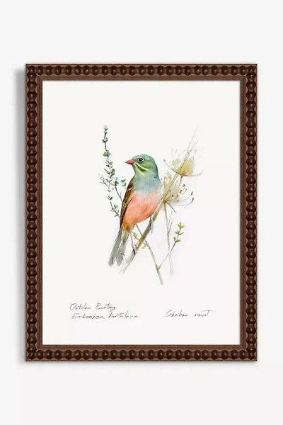 Artfully Walls Blue Throat Bird Wall Art In Green