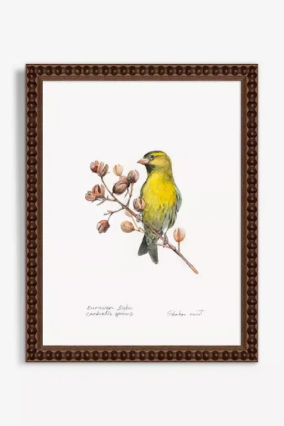 Artfully Walls Blue Throat Bird Wall Art In Multi