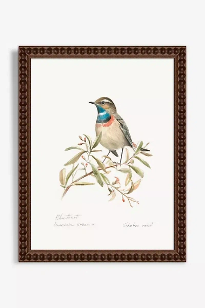 Artfully Walls Blue Throat Bird Wall Art In Multi