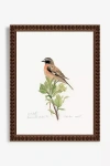 Artfully Walls Blue Throat Bird Wall Art In Multi