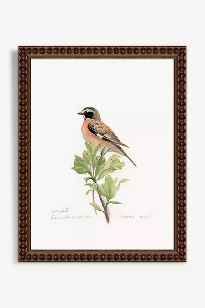 Artfully Walls Blue Throat Bird Wall Art In Multi