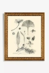 Artfully Walls Botanical Sketch Wall Art