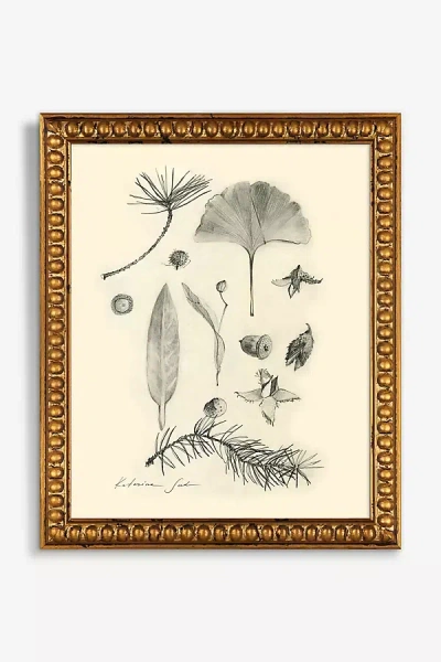 Artfully Walls Botanical Sketch Wall Art