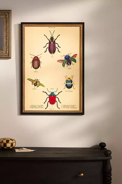 Artfully Walls Bugs Wall Art In Neutral