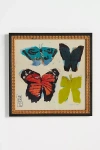 Artfully Walls Butterfly Square 5 Wall Art