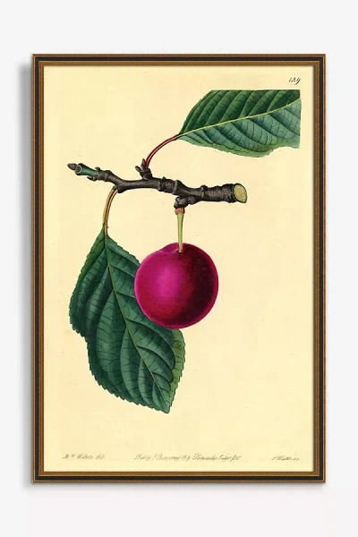 Artfully Walls Cherry Wall Art