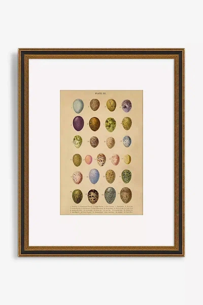 Artfully Walls Eggs Wall Art