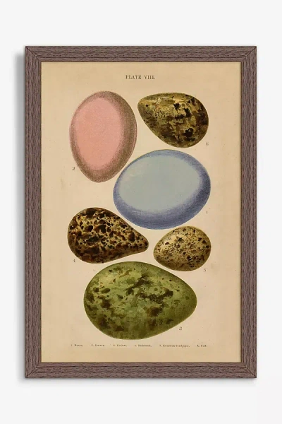 Artfully Walls Eggs Wall Art
