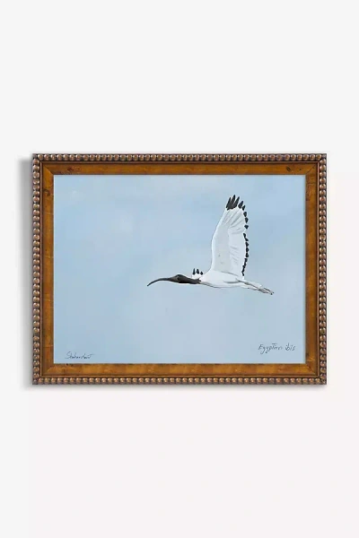 Artfully Walls Egyptian Ibis Wall Art