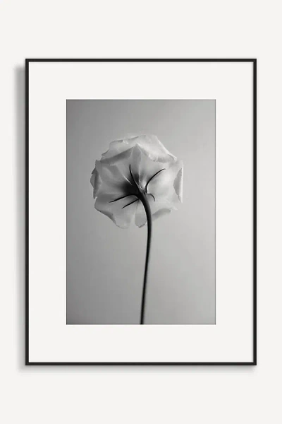 Artfully Walls Flora