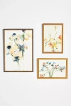 Artfully Walls Flowers Bouquet I And Ii Wall Art In Brown