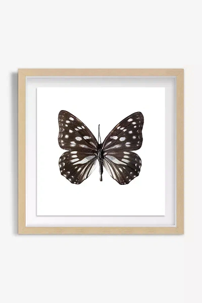 Artfully Walls Gossamer Wings Wall Art
