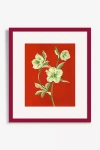 Artfully Walls Hellebore Wall Art