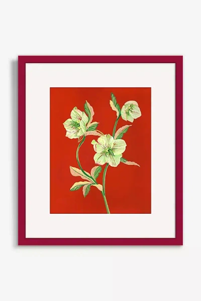 Artfully Walls Hellebore Wall Art