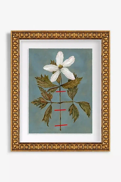 Artfully Walls Herbarium Wall Art In Gold