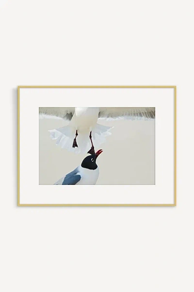 Artfully Walls Laughing Gull Disagreement Wall Art In Multi
