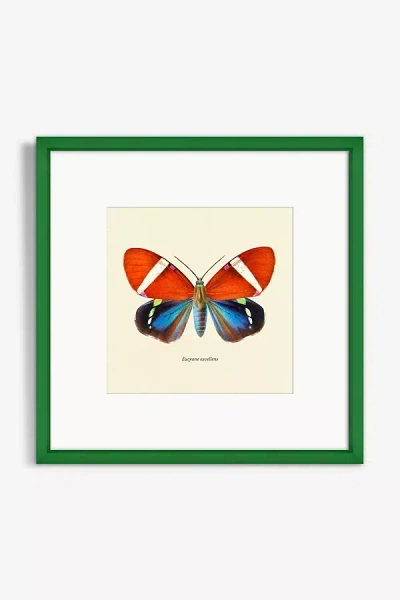 Artfully Walls Moth Study Wall Art In Green