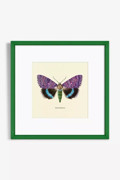 Artfully Walls Moth Study Wall Art In Green