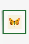 Artfully Walls Moth Study Wall Art In Green