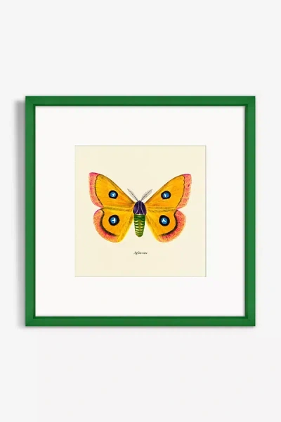 Artfully Walls Moth Study Wall Art In Green