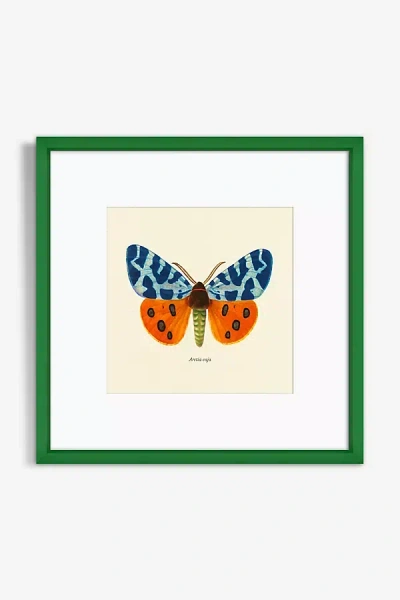 Artfully Walls Moth Study Wall Art In Green