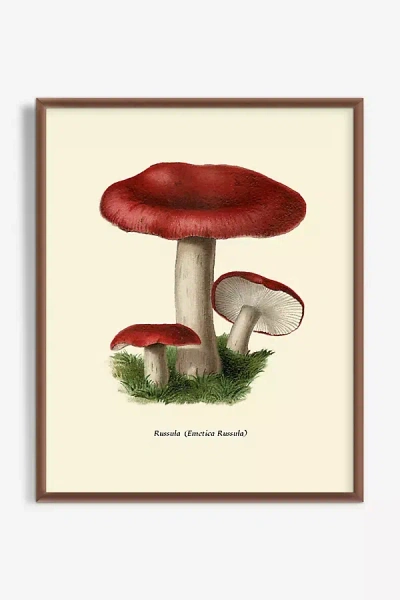 Artfully Walls Mushroom Study Wall Art